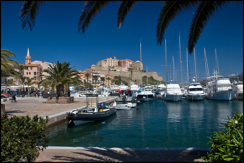 calvi01.jpg